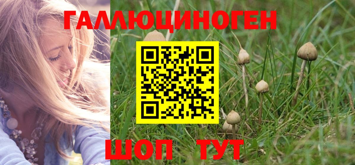 Галлюциногенные грибы мухоморы  Вход с VPN  наркотики  Гусиноозёрск 